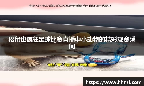 EMC易倍官网